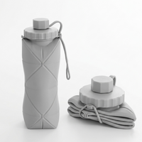 600 ML Foldable Water Bottle